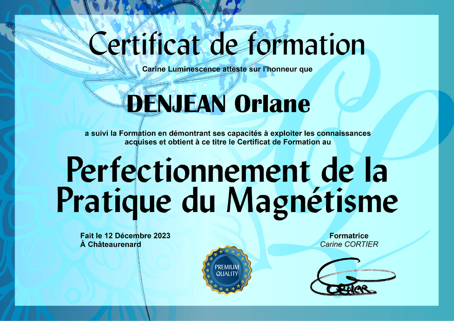 Formation de Praticien en Magnétisme et perfectionnement en pratique du Magnétisme